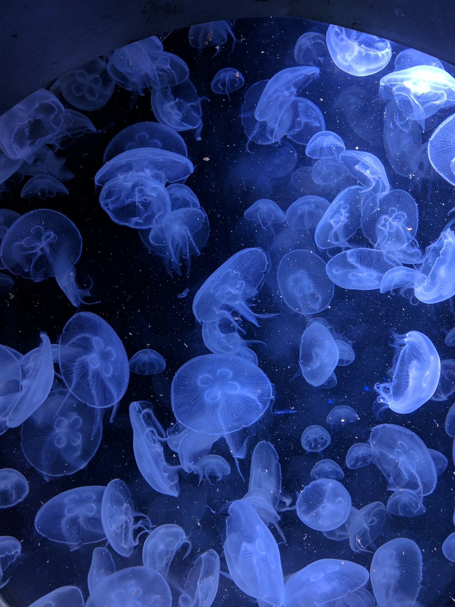 How to Capture Stunning Nautical Photographs